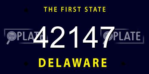 42147 Delaware License Plate