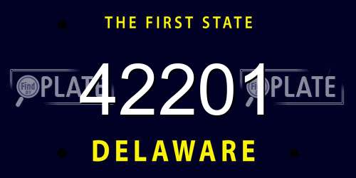 42201 Delaware License Plate