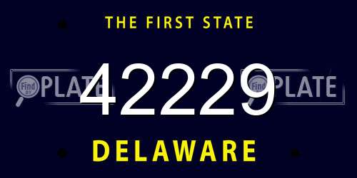 42229 Delaware License Plate
