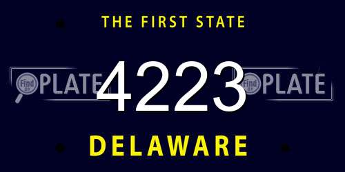 4223 Delaware License Plate