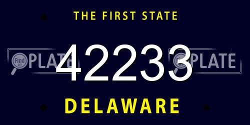 42233 Delaware License Plate