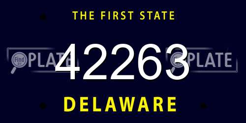 42263 Delaware License Plate