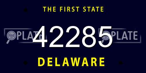 42285 Delaware License Plate