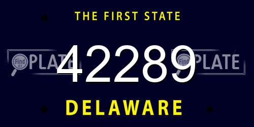 42289 Delaware License Plate