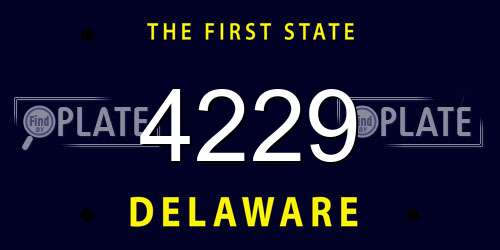 4229 Delaware License Plate