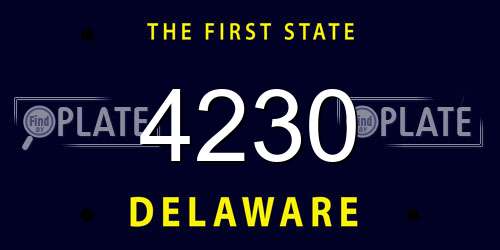 4230 Delaware License Plate