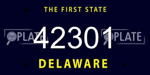 42301 Delaware License Plate