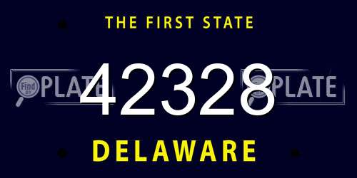 42328 Delaware License Plate