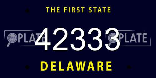 42333 Delaware License Plate