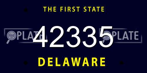 42335 Delaware License Plate