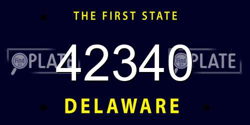 42340 Delaware License Plate