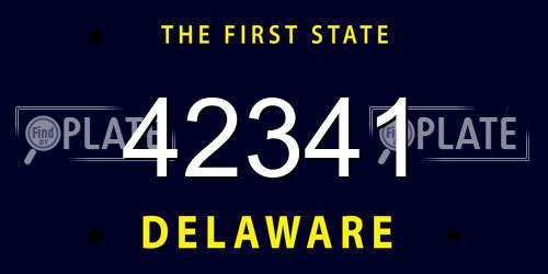 42341 Delaware License Plate