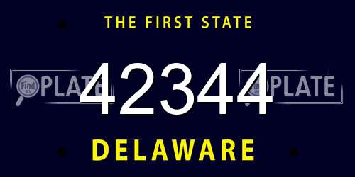 42344 Delaware License Plate