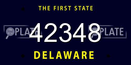 42348 Delaware License Plate