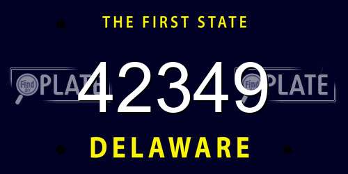 42349 Delaware License Plate