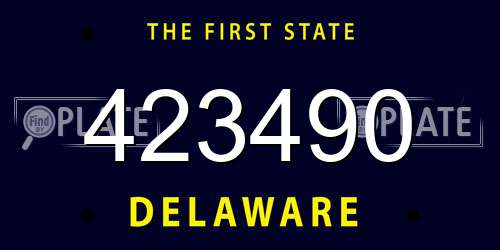 423490 Delaware License Plate