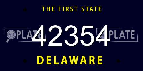 42354 Delaware License Plate