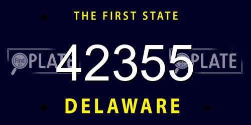 42355 Delaware License Plate