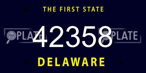 42358 Delaware License Plate