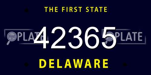42365 Delaware License Plate