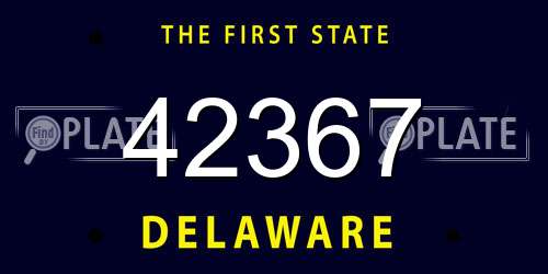 42367 Delaware License Plate