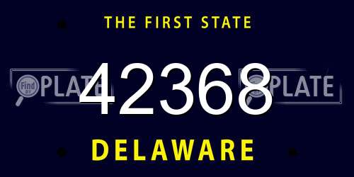 42368 Delaware License Plate