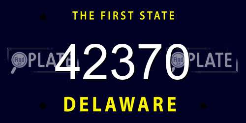 42370 Delaware License Plate