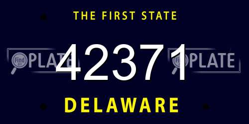 42371 Delaware License Plate