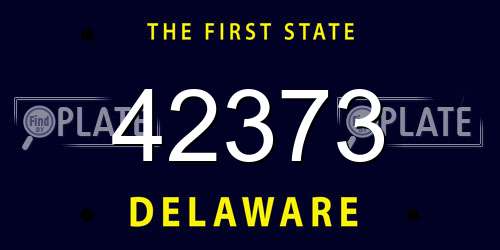 42373 Delaware License Plate