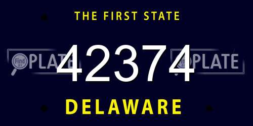 42374 Delaware License Plate