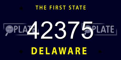 42375 Delaware License Plate