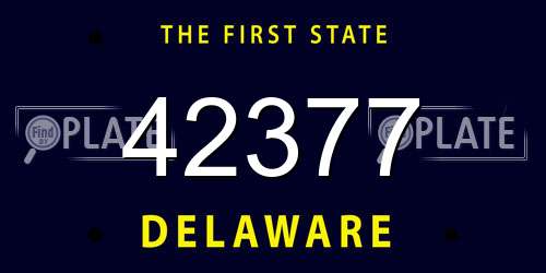 42377 Delaware License Plate