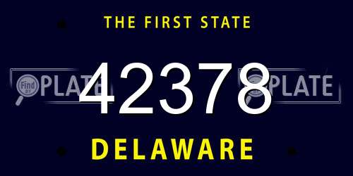 42378 Delaware License Plate
