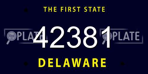 42381 Delaware License Plate