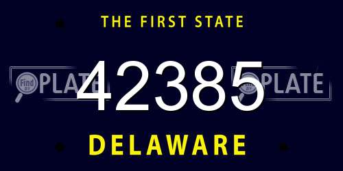 42385 Delaware License Plate