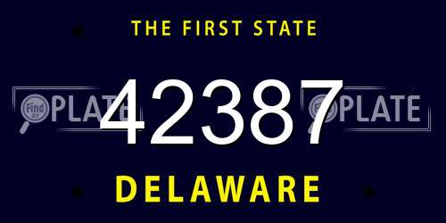 42387 Delaware License Plate