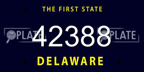 42388 Delaware License Plate