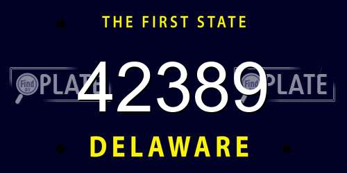 42389 Delaware License Plate