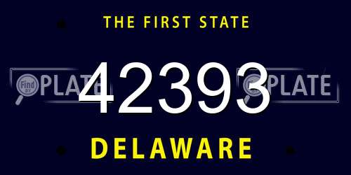 42393 Delaware License Plate