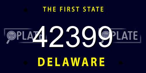 42399 Delaware License Plate