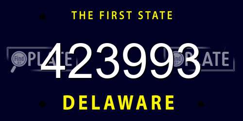 423993 Delaware License Plate