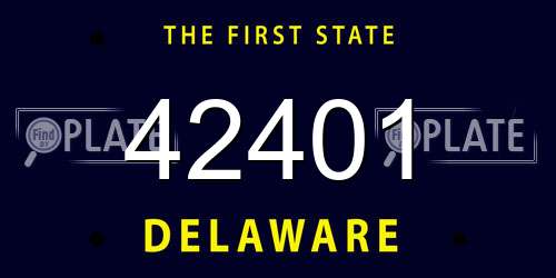 42401 Delaware License Plate