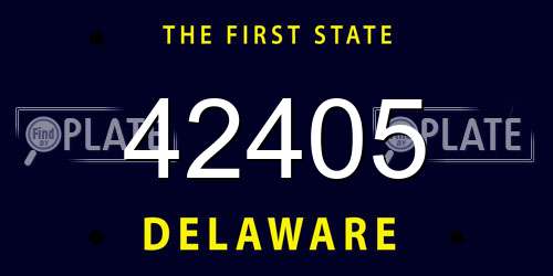 42405 Delaware License Plate