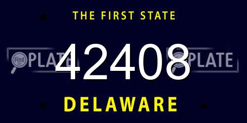 42408 Delaware License Plate
