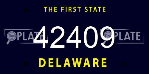 42409 Delaware License Plate