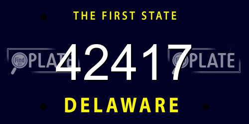 42417 Delaware License Plate