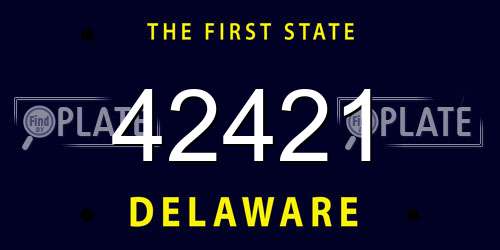 42421 Delaware License Plate