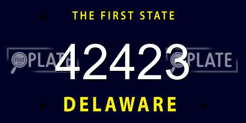 42423 Delaware License Plate