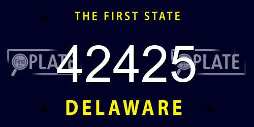 42425 Delaware License Plate