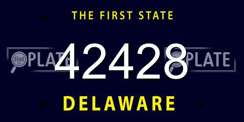 42428 Delaware License Plate